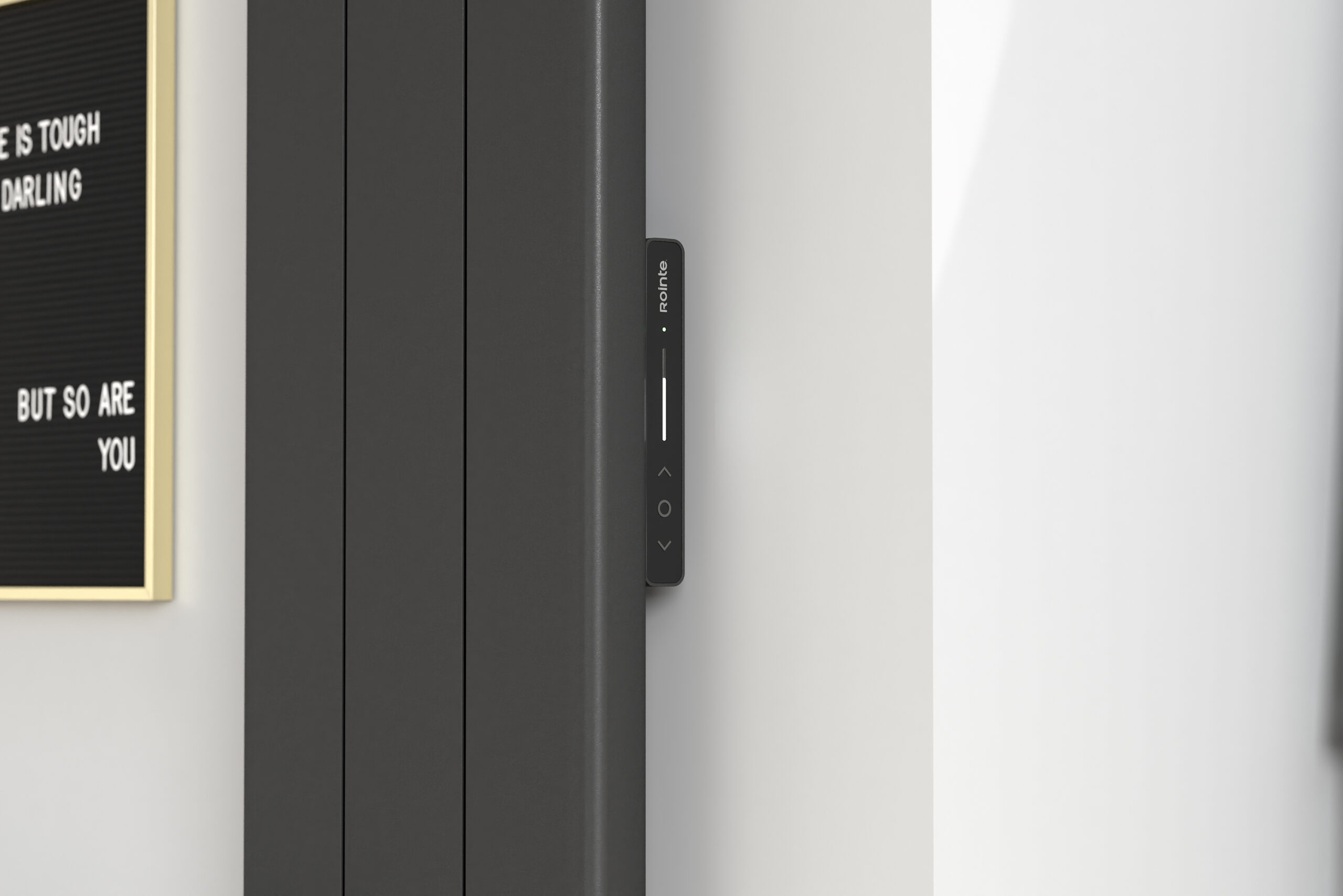 Rointe Palaos energiezuinige elektrische Wifi Designradiator